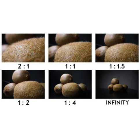 12269996_7.jpg
