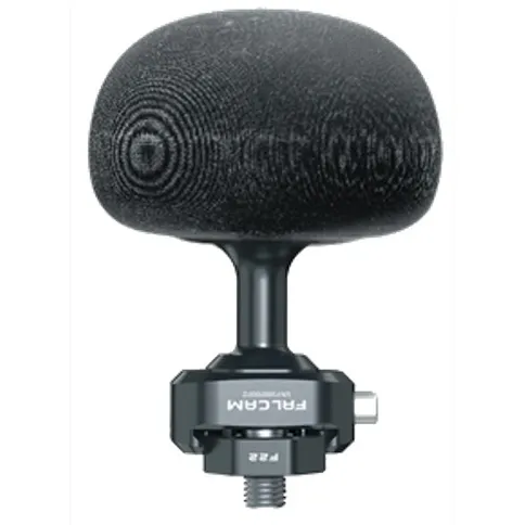 Falcam-3040_1.jpg