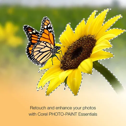 CorelDRAW-Essentials-2021_3.jpg