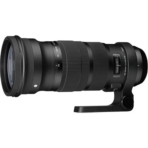 sigma_120-300mm_f2.8_dg_os_hsm_sports_nikon_2.jpg