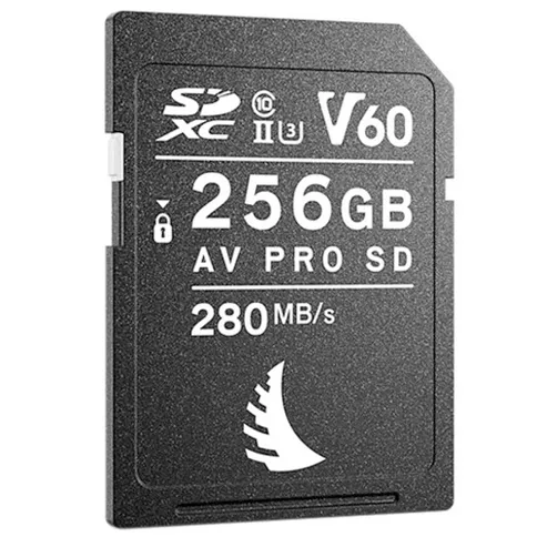 Angelbird-AVpro-MK2-256GB_1.jpg