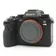 IMG_7347.JPG