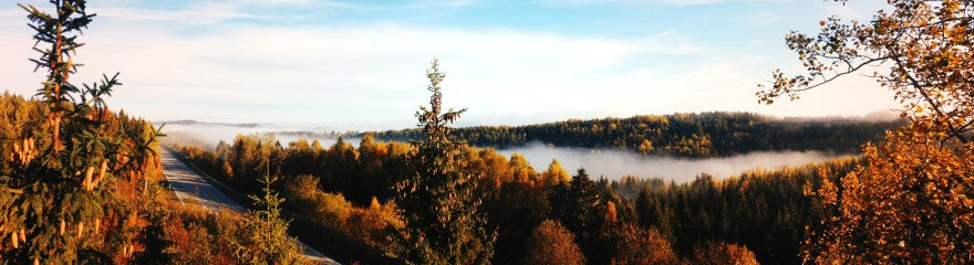 Everything you need for autumn photography