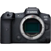 Canon Mirrorless Cameras