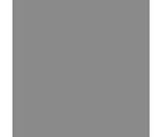 Bresser BG-3X6-GR 3,0x6,0m grijs