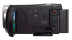 Sony HDR-CX450