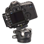 Leofoto LH-55 + testa a sfera QP-70