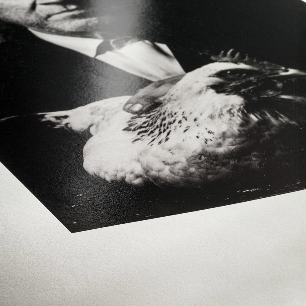 Hahnemuhle Photo Rag barite 315 gsm A5 30 sheets