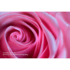 LensBaby Velvet 85 Negro Nikon Z