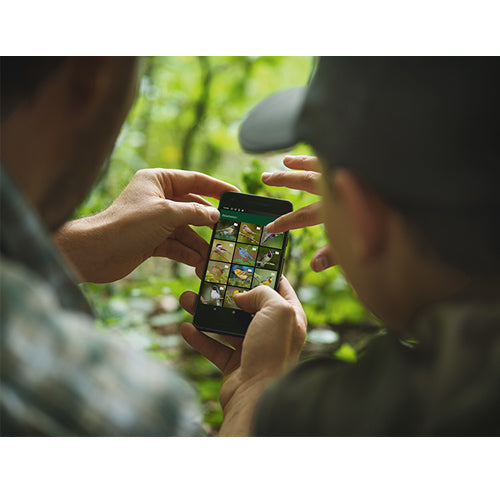 Swarovski dG 8x25