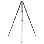 Benro Tortoise Stativ TTOR24C