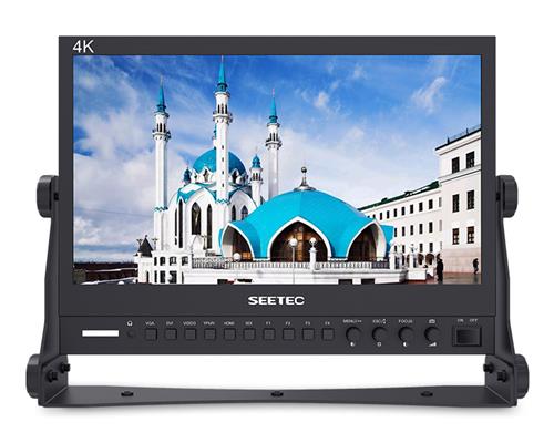 Feelworld Seetec 17.3