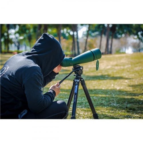 Leofoto BV-5 Testa video liquida