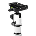 Benro Roadtrip Pro Aluminiumstativ Silber
