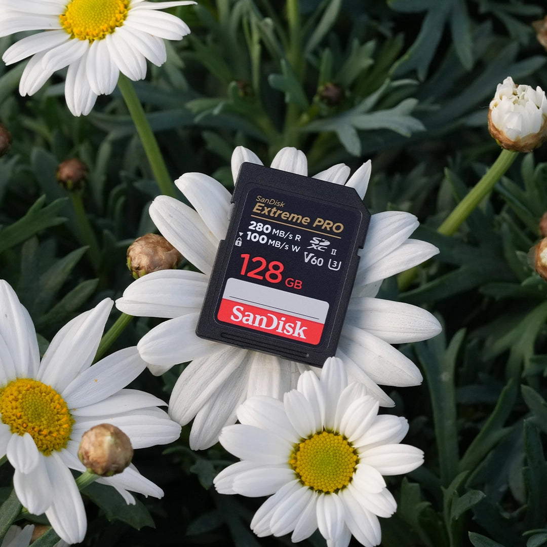SanDisk Extreme PRO V60 SDXC 128 GB UHS-II, Classe 10