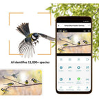 Tarnung EZ-BirdFeed Wildtierkamera