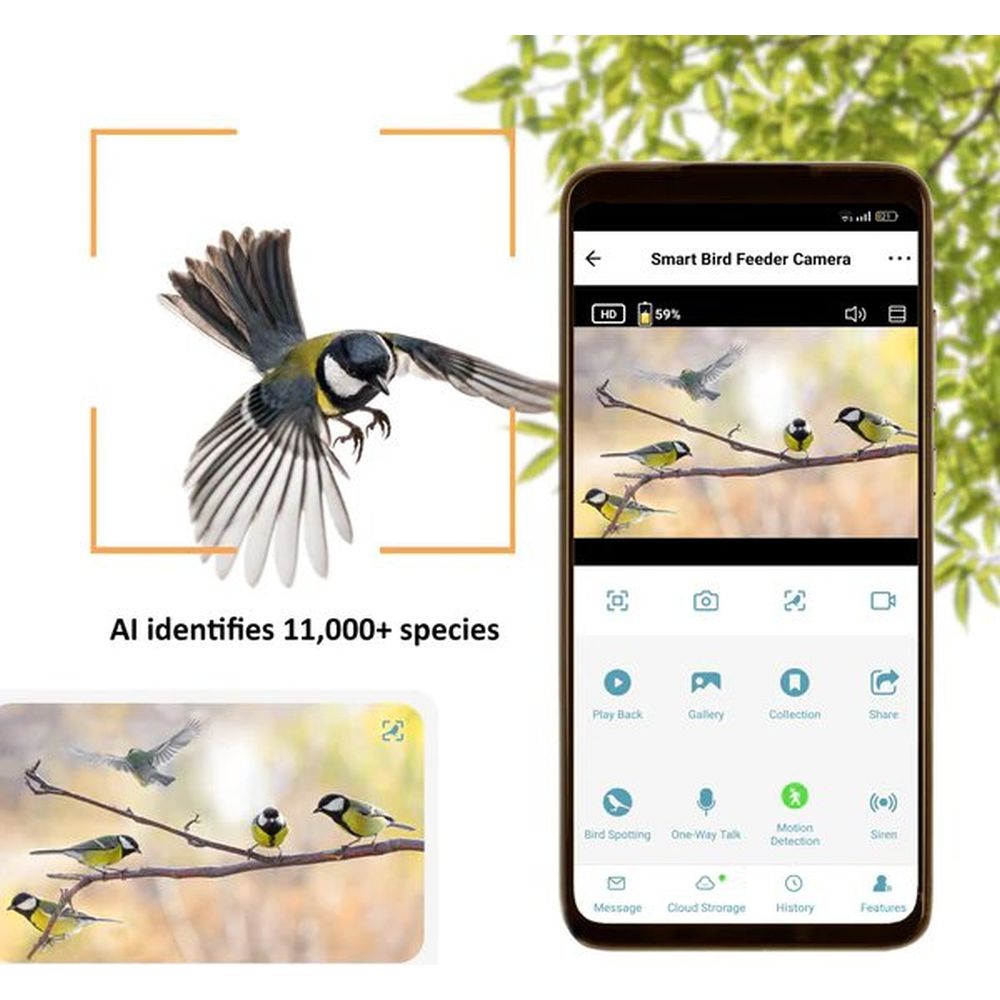 Tarnung EZ-BirdFeed Wildtierkamera