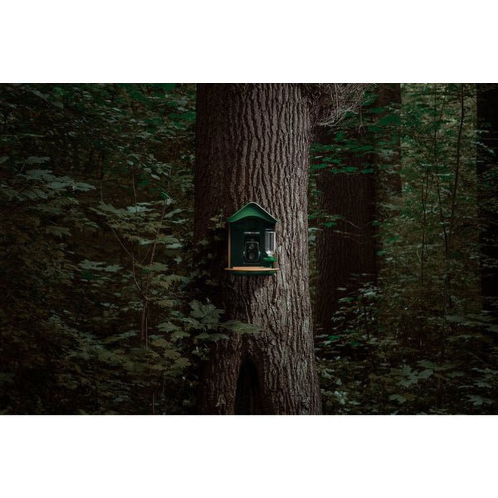 Tarnung EZ-BirdFeed Wildtierkamera