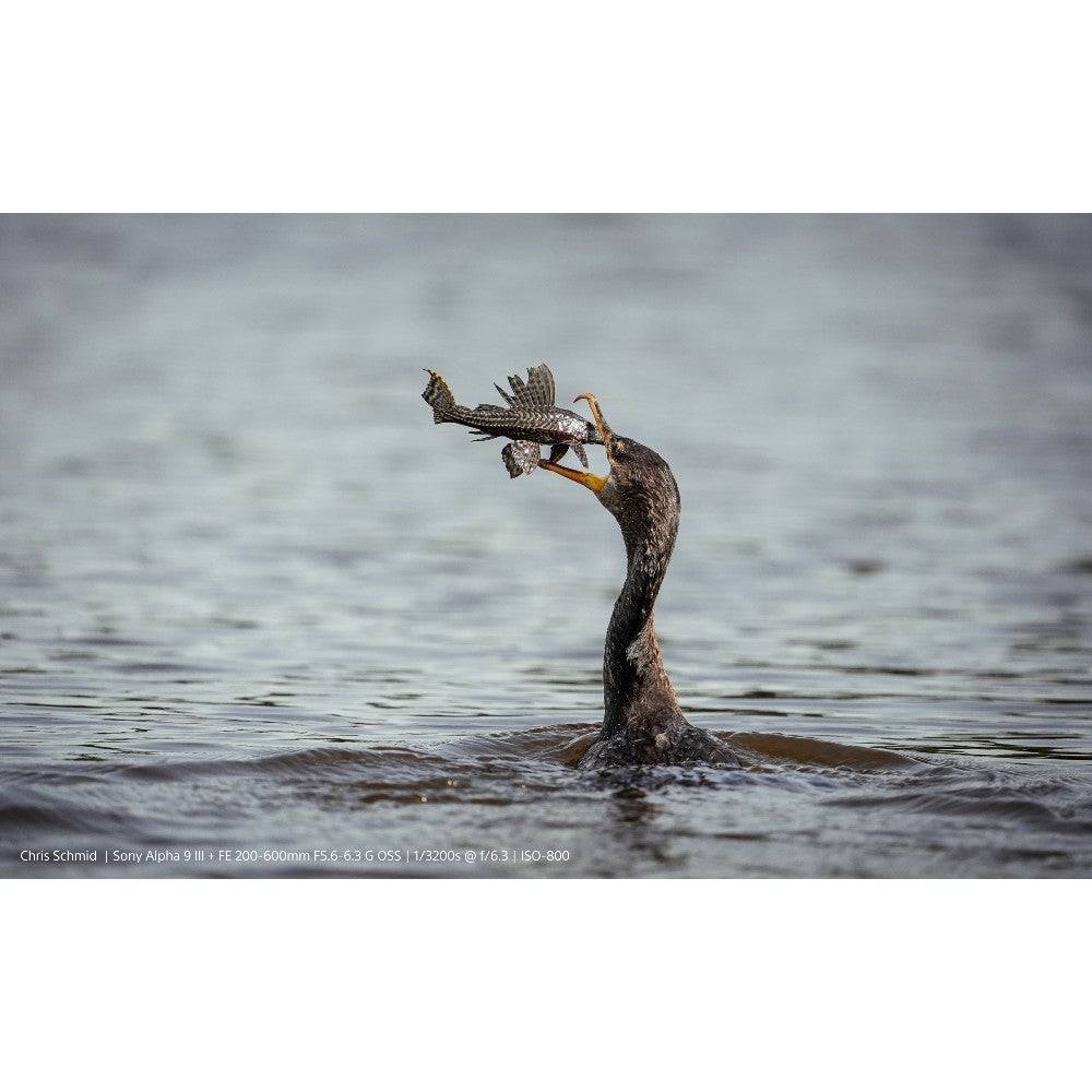 Sony A9 III OTULET