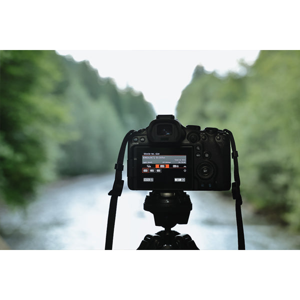 Canon EOS R6 Mark III + RF 16-28mm F/2.8 IS STM