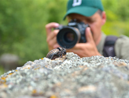 Objectifs pour la photographie macro